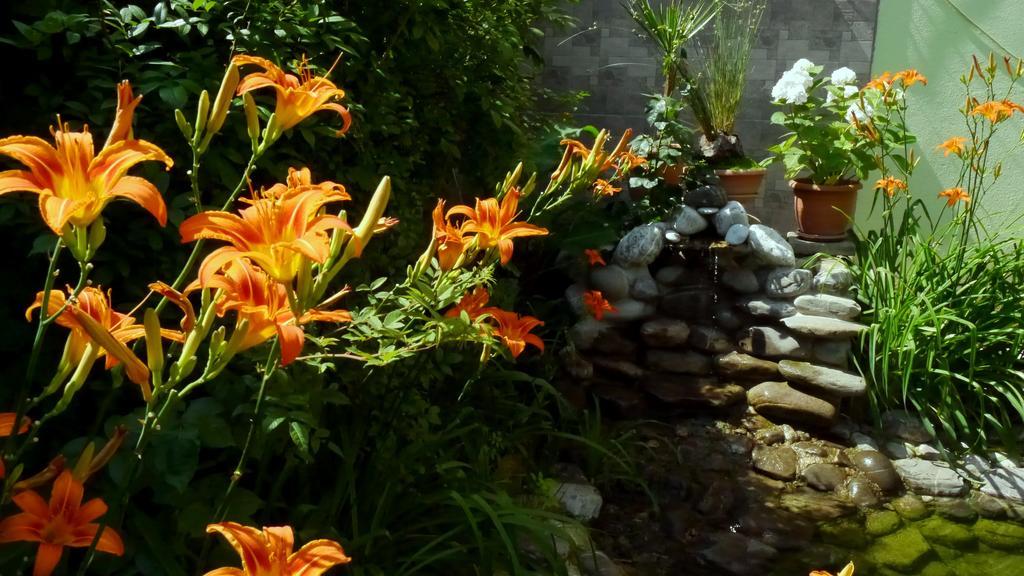 Kruja Hotel Tiran Dış mekan fotoğraf